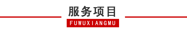 朝陽(yáng)區(qū)租車(chē) (15).jpg